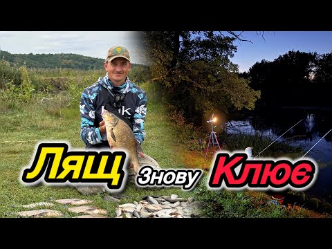 Видео: ЛЯЩ на ФІДЕР  , Готуємо на природі / крута рибалка з новим товаришем 