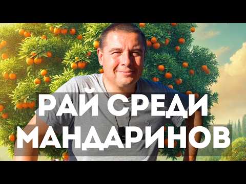 Видео: Купил за 28000$ дом на речке в Поти. Ловит рыбу, ходит на песчаный пляж, катается на лыжах