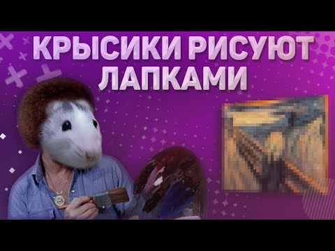 Видео: ЧТО НАРИСУЮТ  МОИ КРЫСЫ?