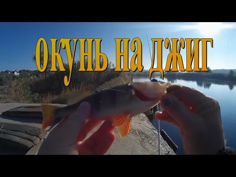Видео: Рыбалка. Ловля окуня на джиг в октябре