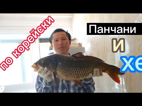 Видео: Готовлю большого сазана.ПАНЧАНИ  и ХЕ по корейски