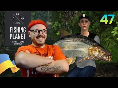 Видео: 200 000 $ в Годину. Найкращий Фарм Грошей. Тигрова Риба. Конго, Африка в Fishing Planet