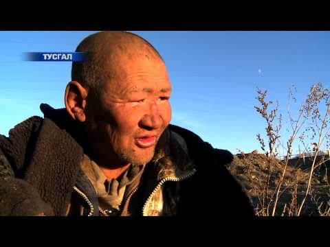 Видео: ТУСГАЛ ТӨСӨЛ - АРХИНД ЖИВСЭН МОНГОЛ