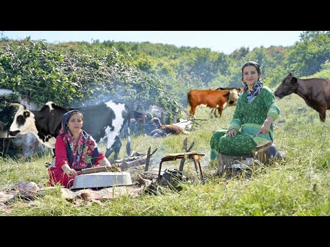 Видео: ИРАН Кочевая жизнь и приготовление тушеной баранины с рисом, выпечка хлеба и приготовление масла