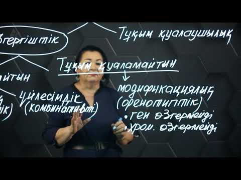 Видео: Тұқымқуалаушылық және өзгергіштік заңдылықтары. 8 сынып.