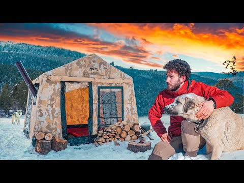 Видео: КЕМПИНГ В ТЕПЛОЙ, ПРОХЛАДНОЙ ПАЛАТКЕ В СНЕГУ С МОЕЙ СОБАКОЙ! (ВОЛК ПРИШЁЛ)