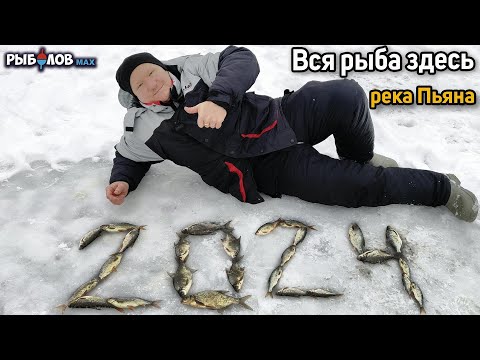 Видео: Рыбалка на поставушки зимой. Река Пьяна. Рыбалка в глухозимье. Рыбалка в Нижегородской области