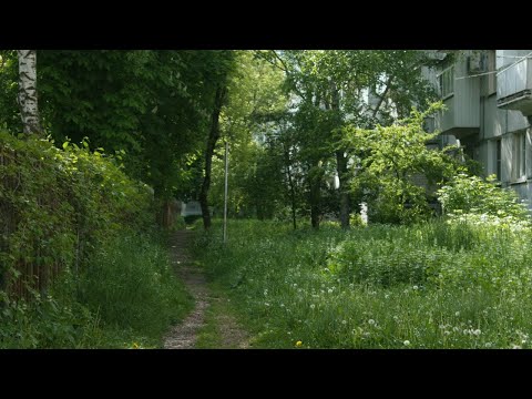 Видео: лето, которое было только в твоих мечтах