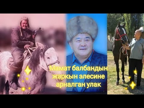 Видео: Мамат балбандын жаркын элесине арналган улак