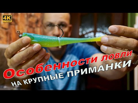 Видео: Рыбалка на КРУПНЫЕ ПРИМАНКИ. Мои наблюдения за рыбой