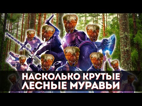 Видео: Насколько крутые лесные муравьи (Formica)