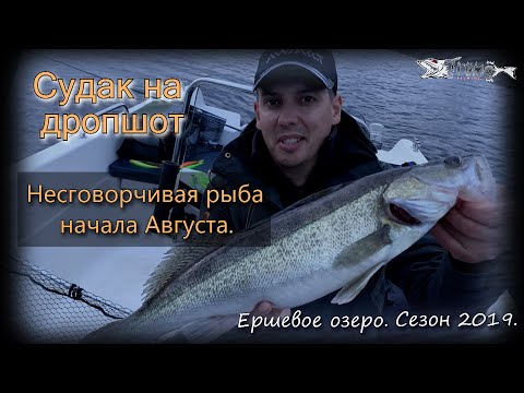 Видео: Судак на дропшот. Несговорчивая рыба начала Августа.