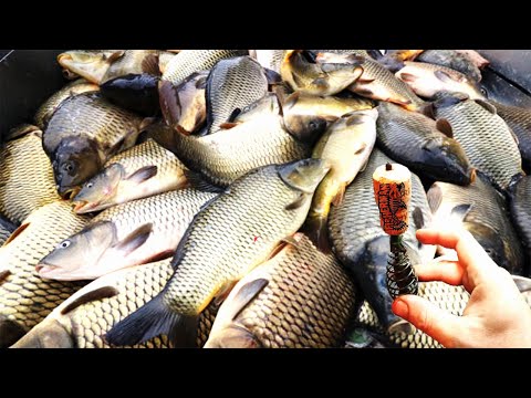 Видео: Дальнобойная плавающая снасть для рыбалки на донки.