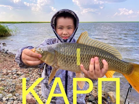 Видео: Carp Fishing, Карповая рыбалка на секретном озере, рыбалка в Казахстане.