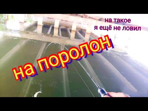 Видео: Силикон не нужен-ловлю на поролон.neoline 0.1-2.