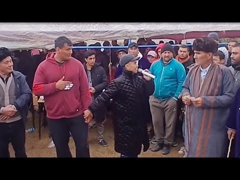 Видео: ЯККАБОГДА КУРАШДА ТОВОКЛАР 04.11.2025
