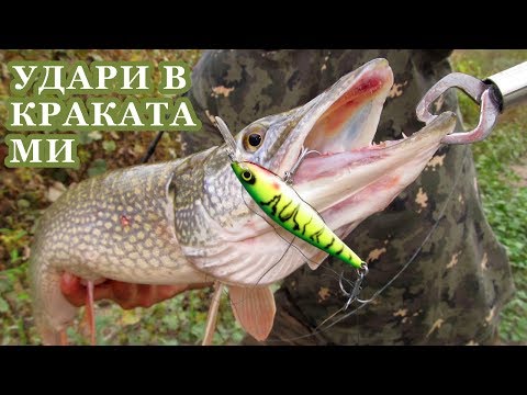 Видео: Щука Удари в Краката Ми! Риболов през Есента в Дъжда/ Pike Bit at My Feet! Fall Fishing in the Rain