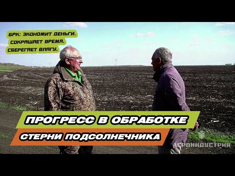 Видео: Предпосевная Бороной ротационной кольцевой БРК по стерне подсолнечника Самара