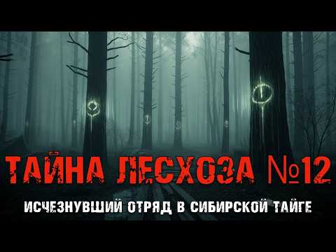 Видео: Тайна северной тропы: исчезновение бригады Лесхоза № 12