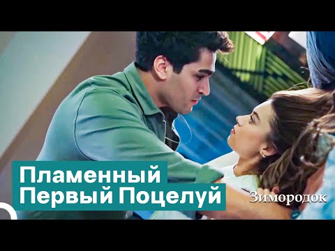 Видео: Из Больших Ссор Рождаются Самые Страстные Любви | Зимородок