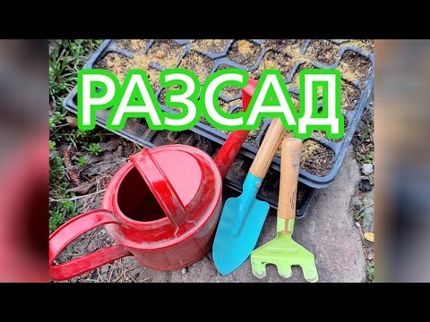 Видео: 3-РАССАДА- Почему песок важен для почвы