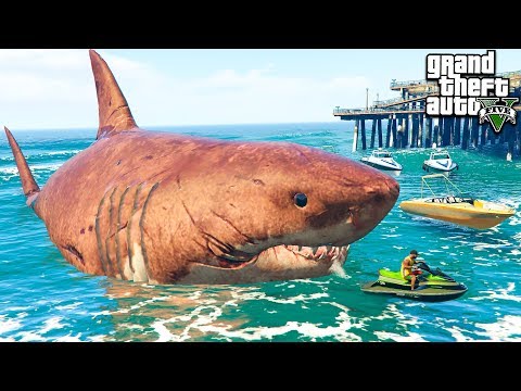 Видео: ПОЙМАЛ ОГРОМНУЮ АКУЛУ МЕГАЛОДОН В ГТА 5 МОДЫ! МЕГ ОБЗОР МОДА В GTA 5! ИГРЫ ГТА ВИДЕО MODS