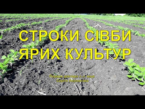 Видео: Строки сівби ярих культур