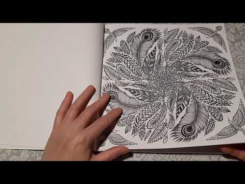 Видео: Красивые иллюстрации от автора Круга жизни раскраска Nature mandalas