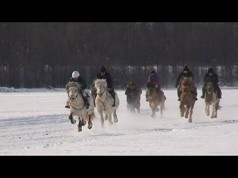 Видео: Ат сүүрдүүтэ Матта Мэҥэ Хаҥалас улууһа 2011 сыл