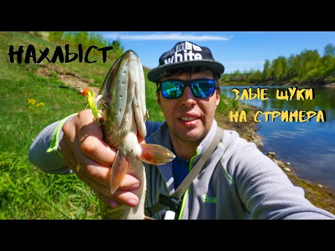 Видео: Рыбалка 2020 - Злые Щуки на Муху.