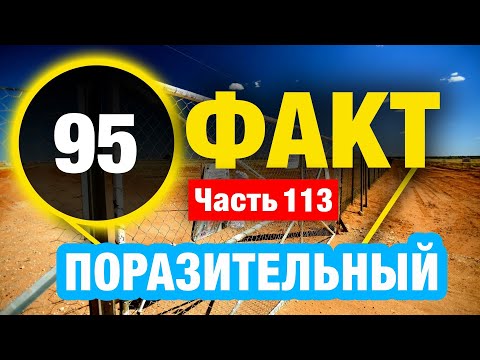 Видео: 95 Необычных Фактов