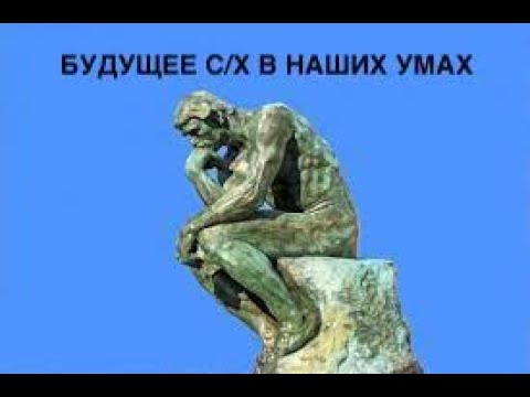 Видео: Изменение климата. Часть 2. Как спасти агробизнес, мнение экспертов