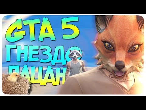 Видео: ГНЕЗДО ПАЦАНА (GTA 5 Смешные моменты)