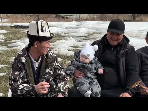 Видео: Кошуналар!!!