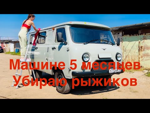 Видео: Машине 5 месяцев. Убираю рыжики, обработка антикором