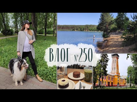 Видео: Отдых на природе, центр Ярославля, занятия антистресс. Влог №250