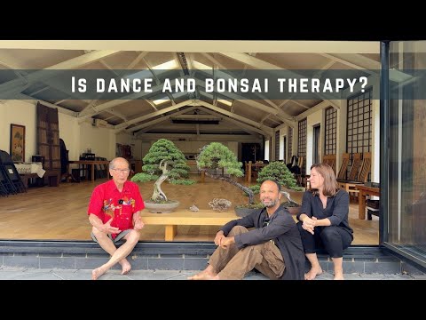 Видео: Являются ли танцы и бонсай терапией?