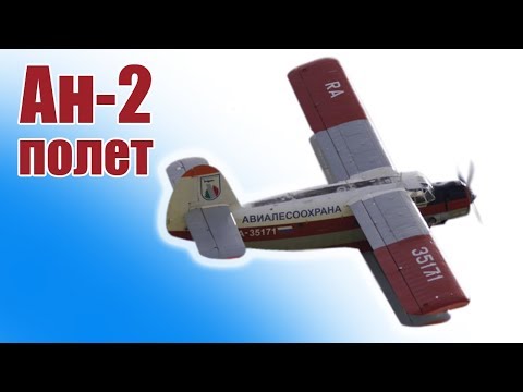 Видео: Большой Ан-2 увидел небо | ALNADO