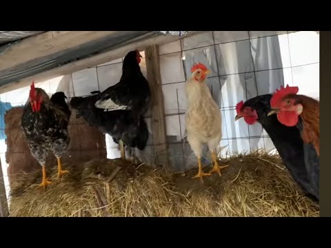 Видео: ЖУДА ИШИНГИЗ ҚОЛМАСА 😊🤔🧐😳🥹🤭❄️❄️❄️🌨️