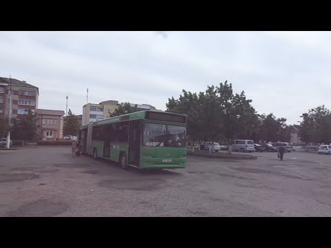 Видео: Автобус №247. АВ Полоцк - АС Ушачи (через Сорочино)