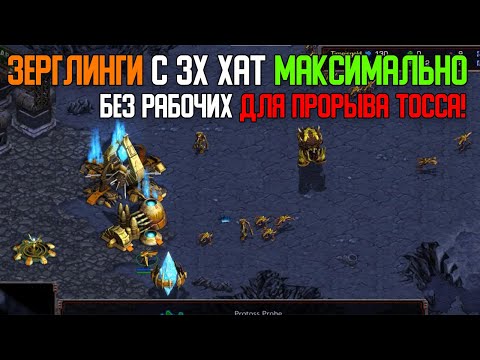 Видео: Старкрафт P VS Z Масс зерглинги с 3х хатчей давят и давят!