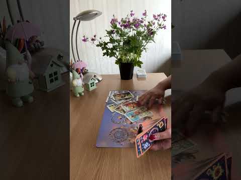 Видео: Пауза или край