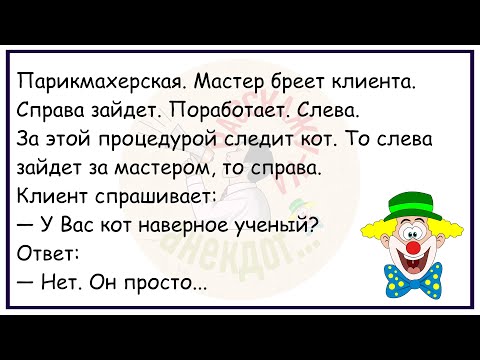Видео: 🤡Две Блондинки Пришли В Зоопарк...Большой Сборник Весёлых Анекдотов,Для Супер Настроения!