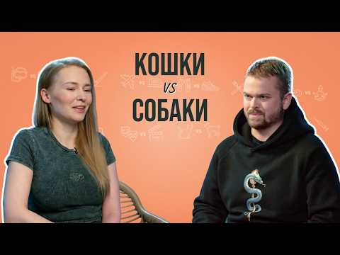 Видео: Кинолог и специалист по кошкам о том, как понять питомца, породах, кастрации и Хатико