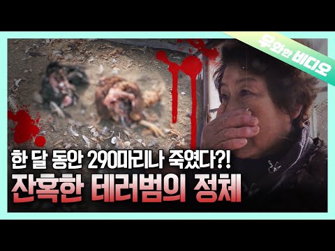 Видео: «Это очень редкий случай» Жестокий инцидент, который шокировал даже эксперта