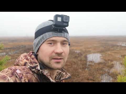 Видео: ОДИНОЧНАЯ ОХОТА НА ГУСЯ 2020.ОСЕНЬ.КАРЕЛИЯ. #охотанагуся2020