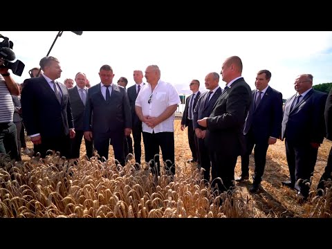 Видео: Лукашенко: Он сейчас уберёт и будет лапы сушить! Раньше надо начинать уборку / Жатва-2023