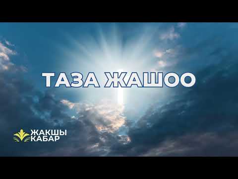 Видео: Таза жашоо