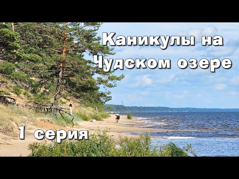 Видео: Каникулы на Чудском озере. Часть 1.