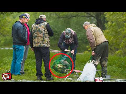 Видео: ЛОВЛЮ на МАРДУШУ и ОДУВАНЧИКИ!!! НОВИЧОК на РЫБАЛКЕ! ПОймал ТРЕХ огромных РЫБИН  Это НЕВОЗМОЖНО!